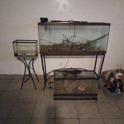 Aquariums With Stands