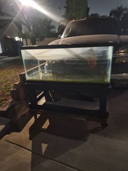 Aquarium and stand on wheels