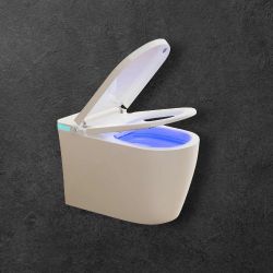 Japanese Elegant Smart Bidet Toilet 