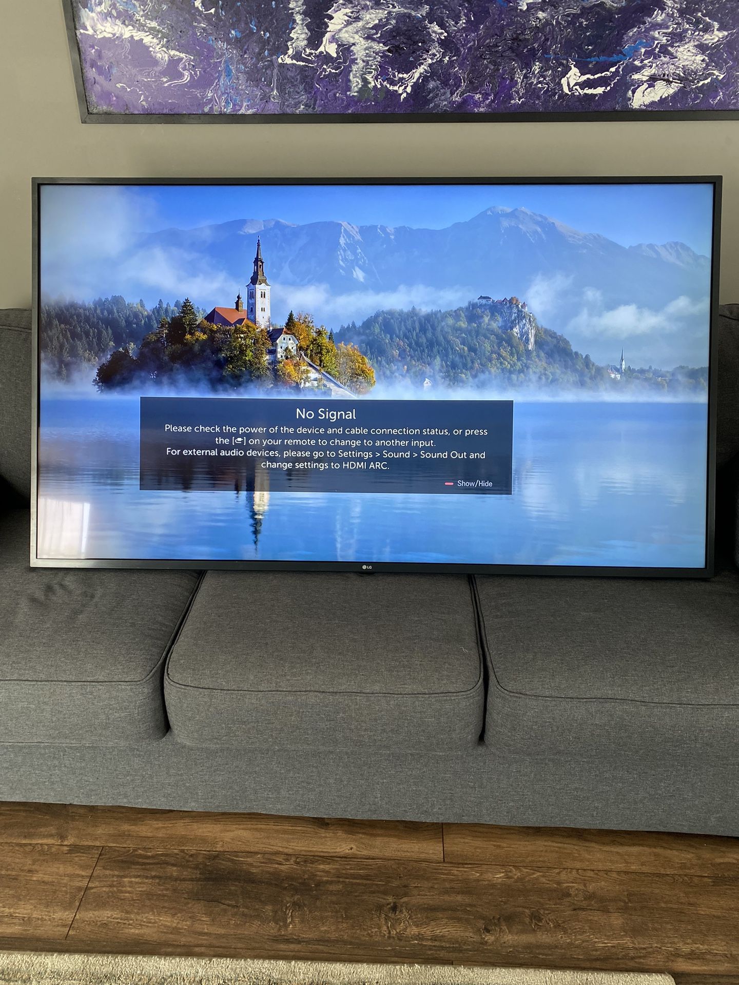 LG 65 inch Class 4K Smart UHD TV w/ AI ThinQ® (64.5'' Diag)