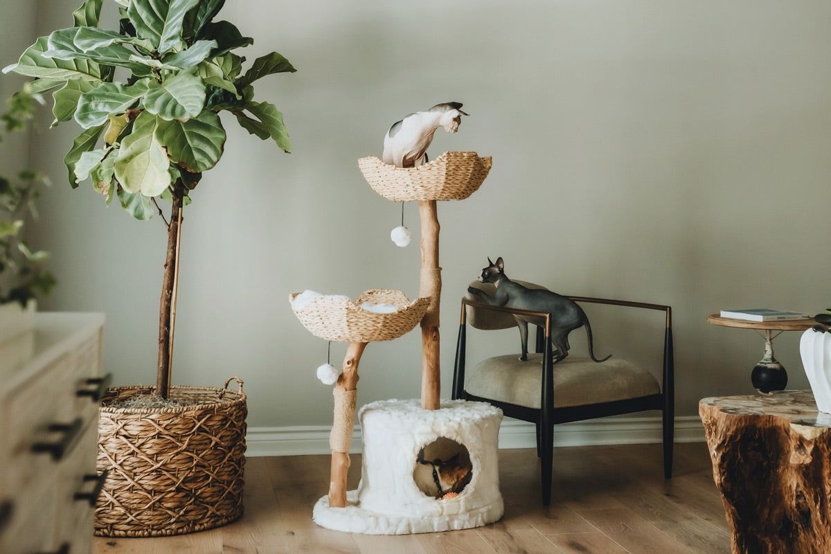 Cento Cat Tree By Mau