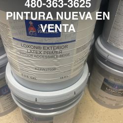 Pintura Y Material Paint Sale 