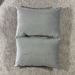 Couch Pillows