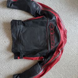 Leather Alpinestars jacket 