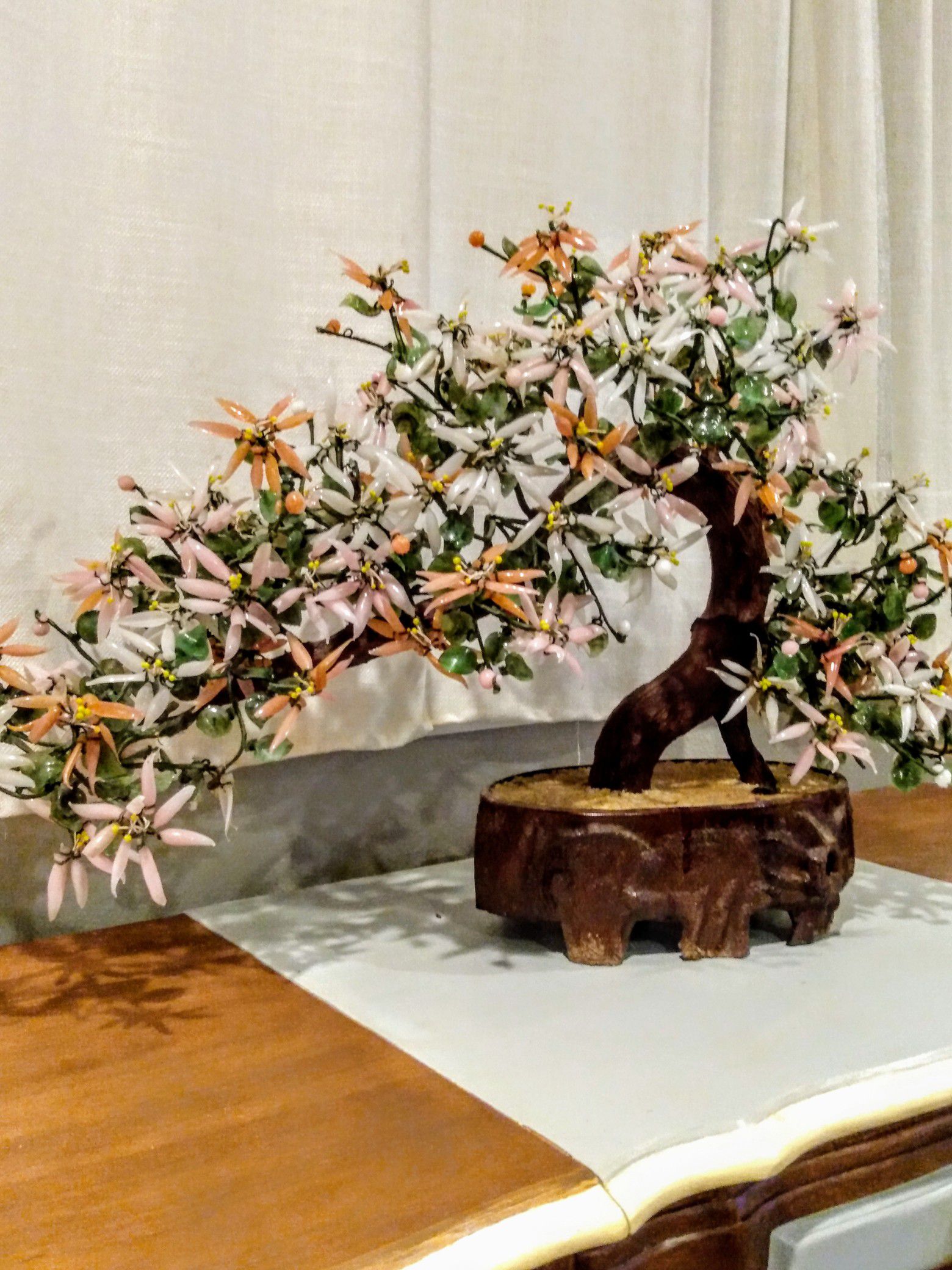 Jade bonsai tree