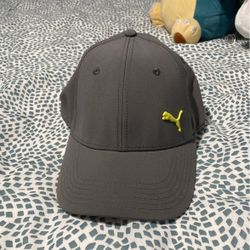 Puma Hat
