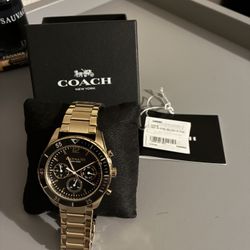 Black And Gold Coach Watch