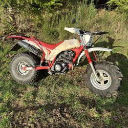 1985 Yamaha Big Wheel 200