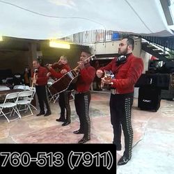 Mariachi Nuevo Union