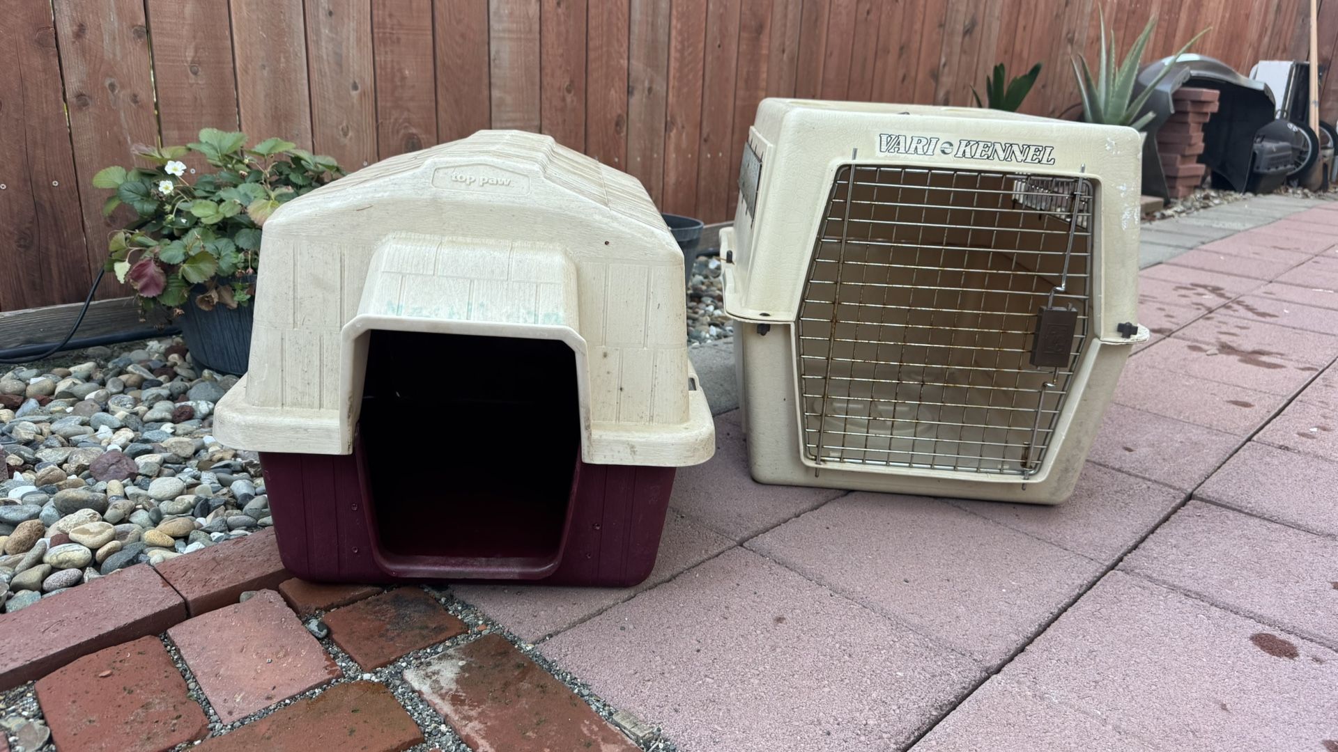 Outdoor Dog House & Kennel