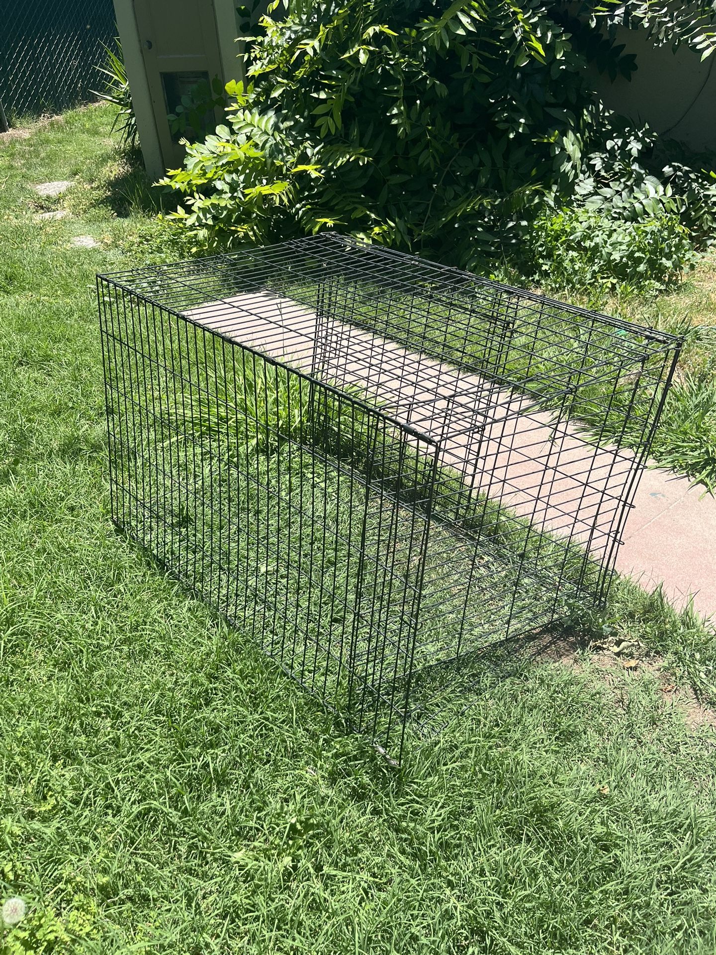 XL Kennel