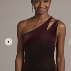 David’s Bridal Evening Gown