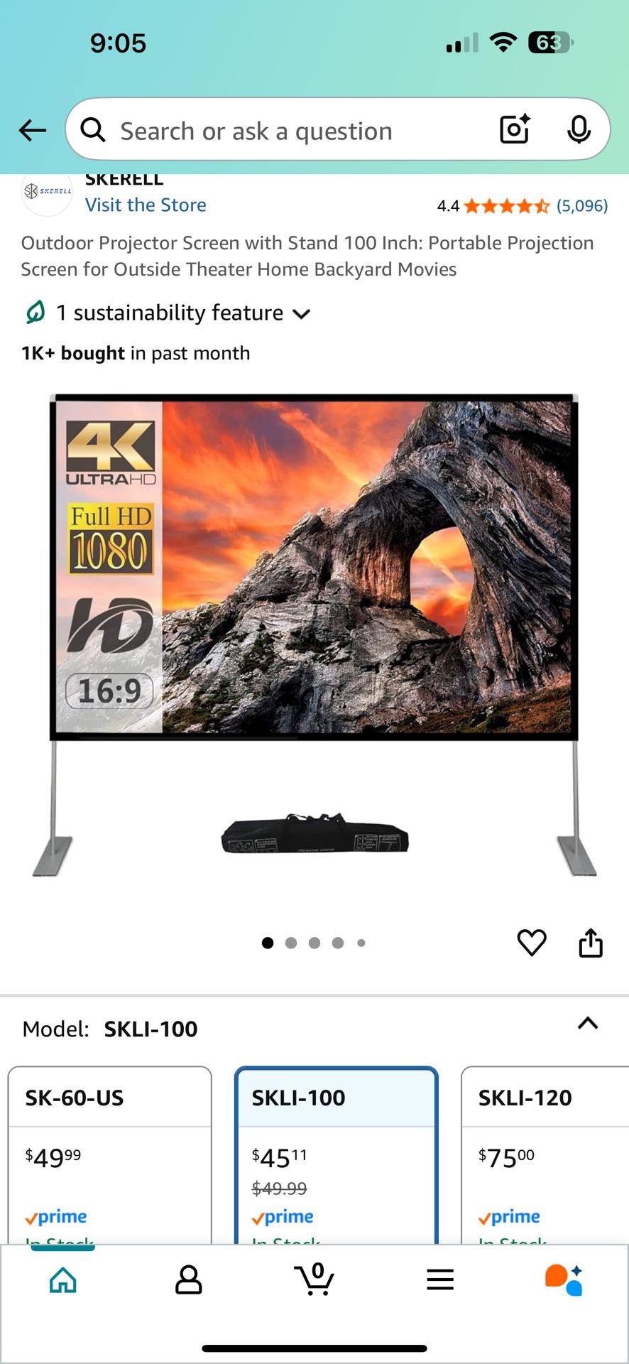 Projector Screen 