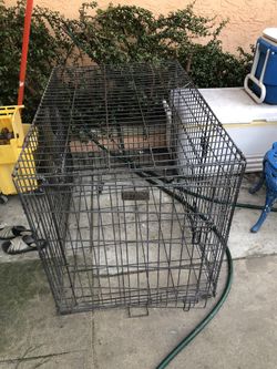 Big Dog Crate