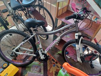 Whirlwind Genesis Bike