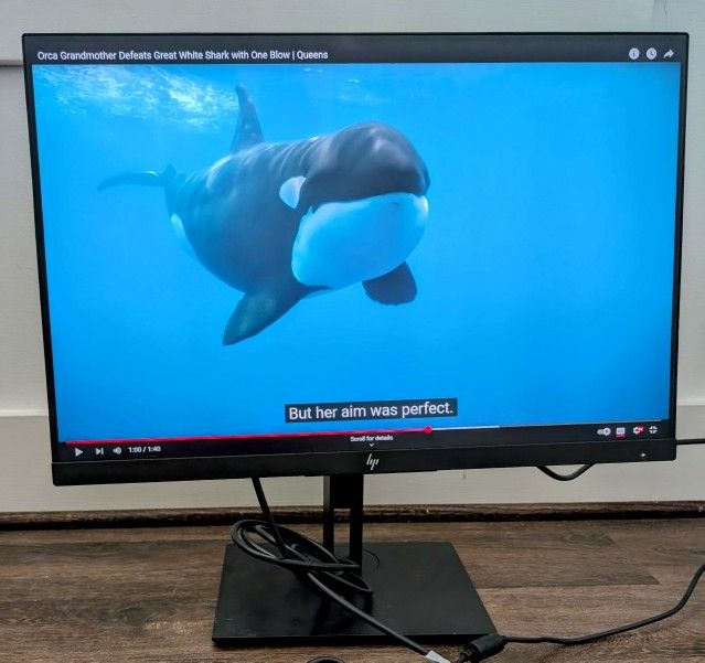 20 Inch HP Monitor