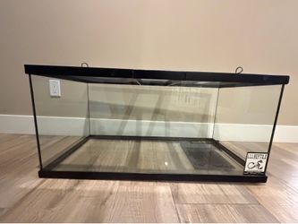 Reptile Tererium