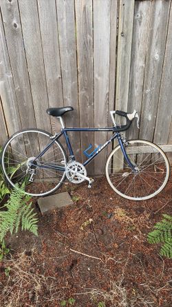 Vintage Terry Symmetry Road Bike - Rare Premium Tange 1 Steel Frame - Small/Women's
