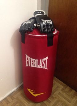 Everlast punching bag & MMA gloves