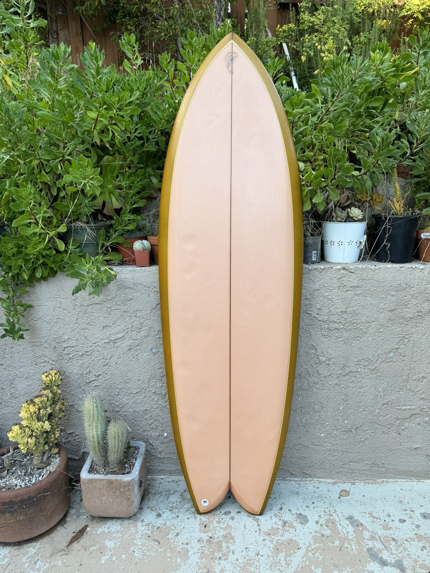 5’5 Derrick Disney Twinzer Fish Surfboard R
