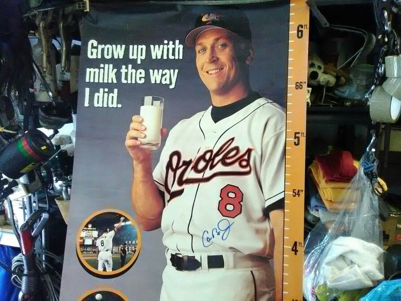 Cal Ripken Jr autographed poster