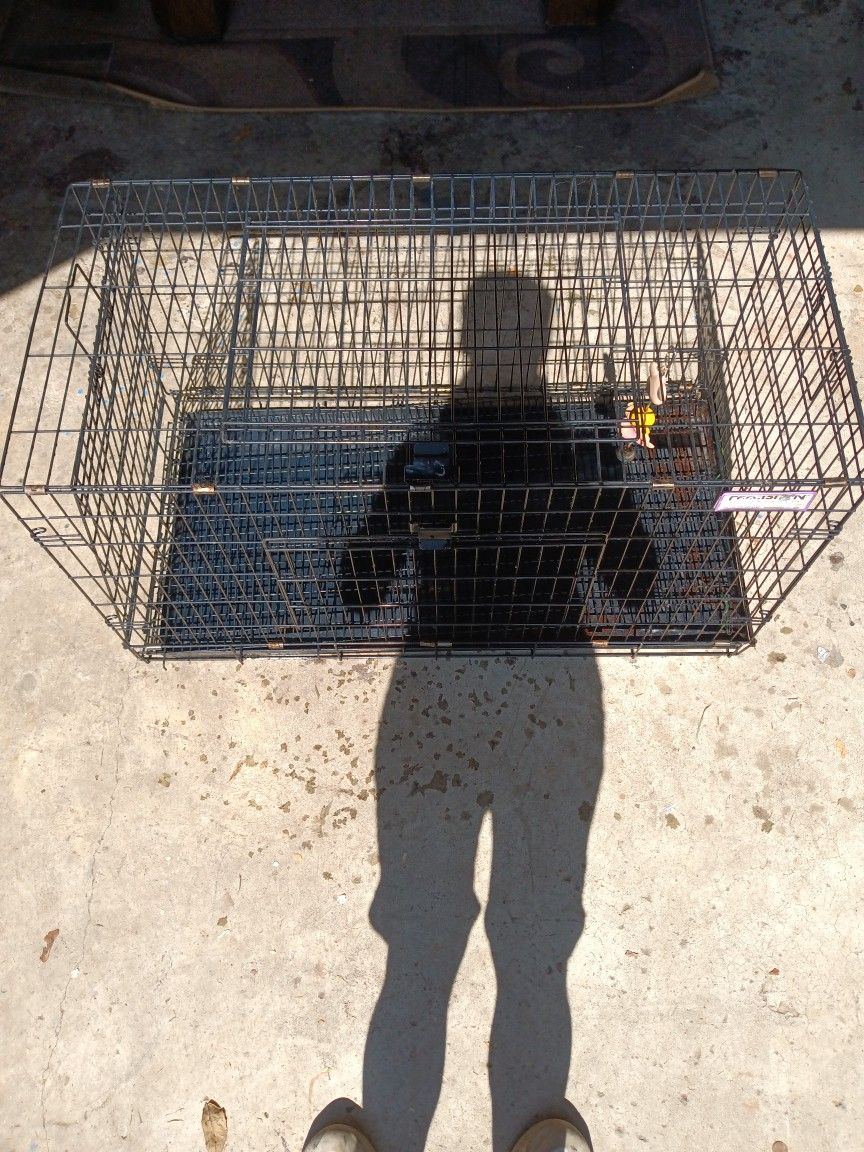 Rabbit Cage