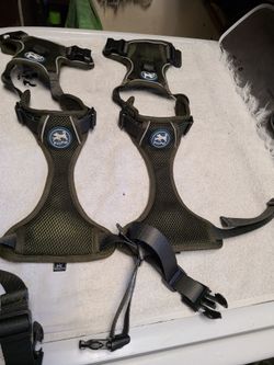 Poy pet harness