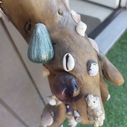 Beautiful Shell Covered Driftwood Walking Stick