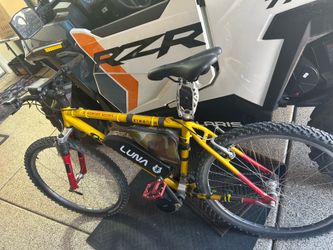Electric bike conversion
