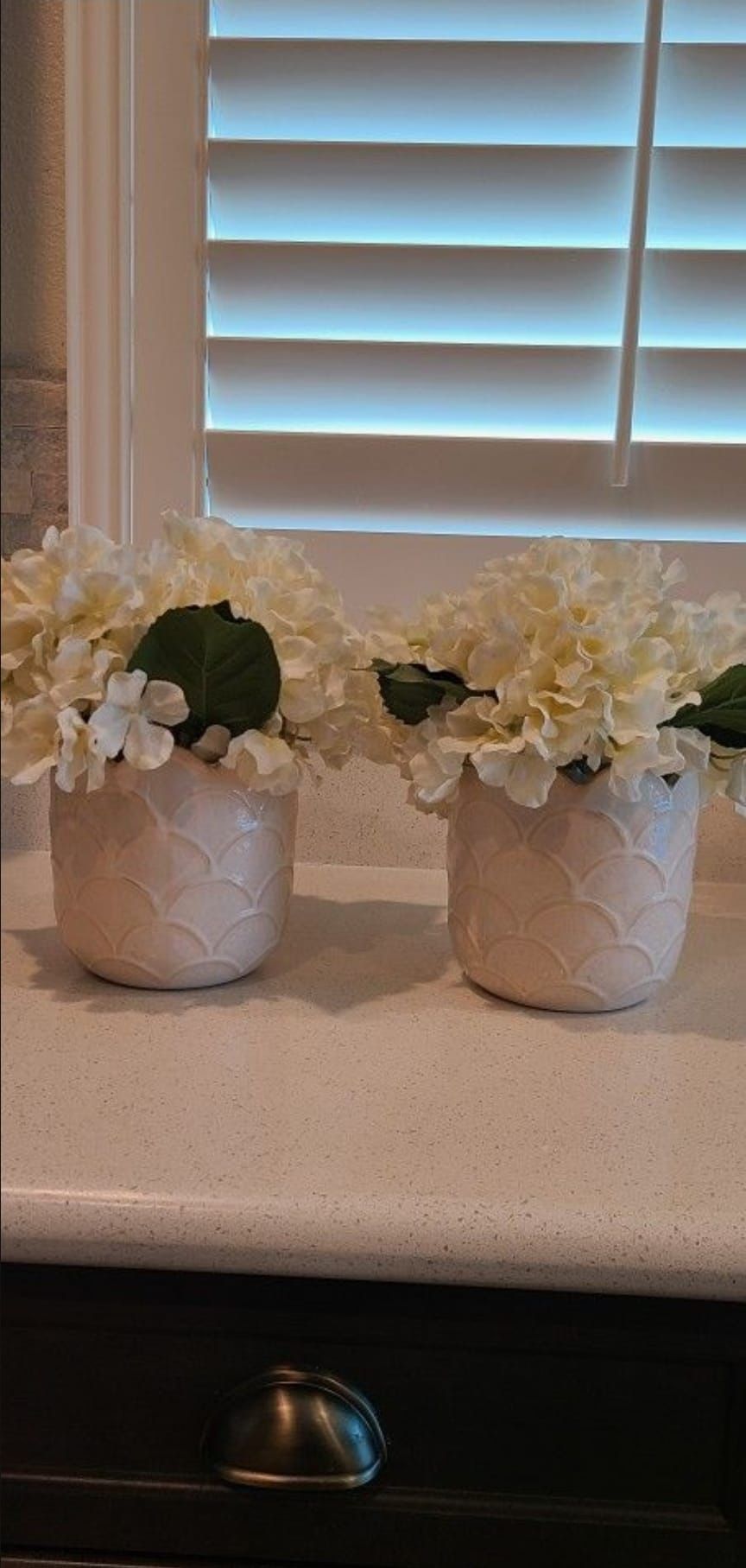 Decor Plants