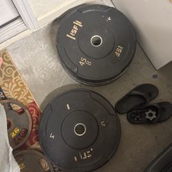2 45lb Bumper Plates