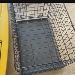 Kennel