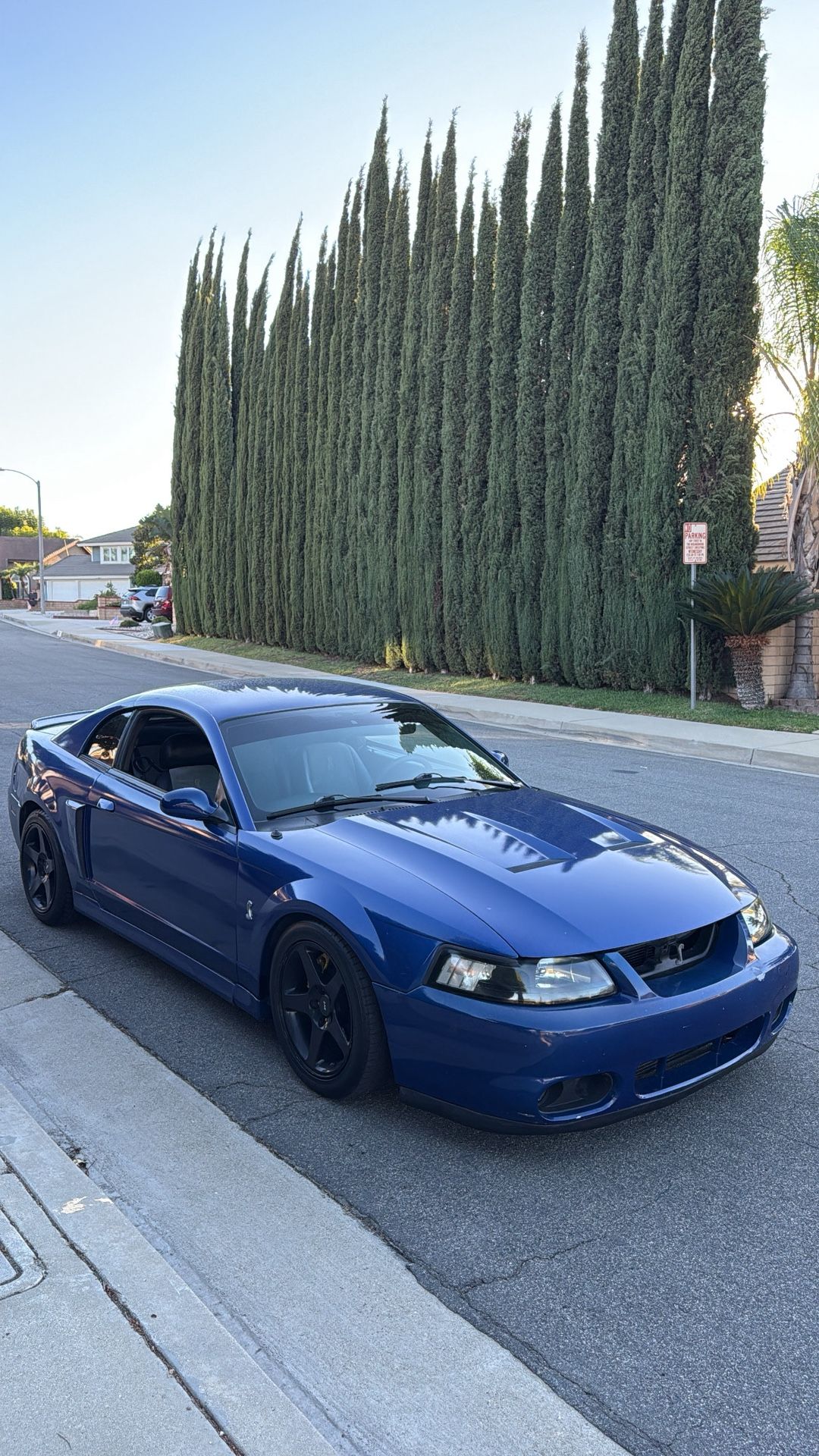 2003 Svt Mustang cobra