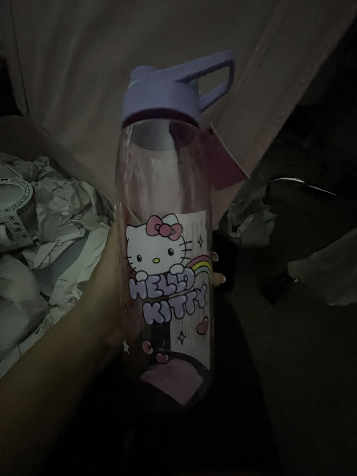 Hello Kitty Water Bottle
