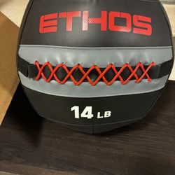 Ethos 14lbs Wall Ball