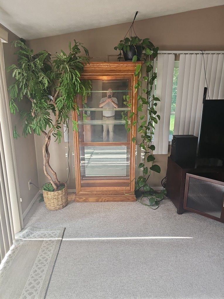 Curio Cabinet 