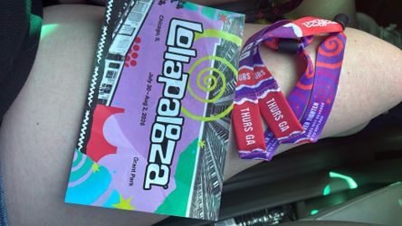 lollapalooza