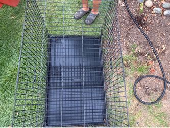 Cage for big dogs