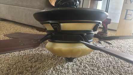Ceiling fan