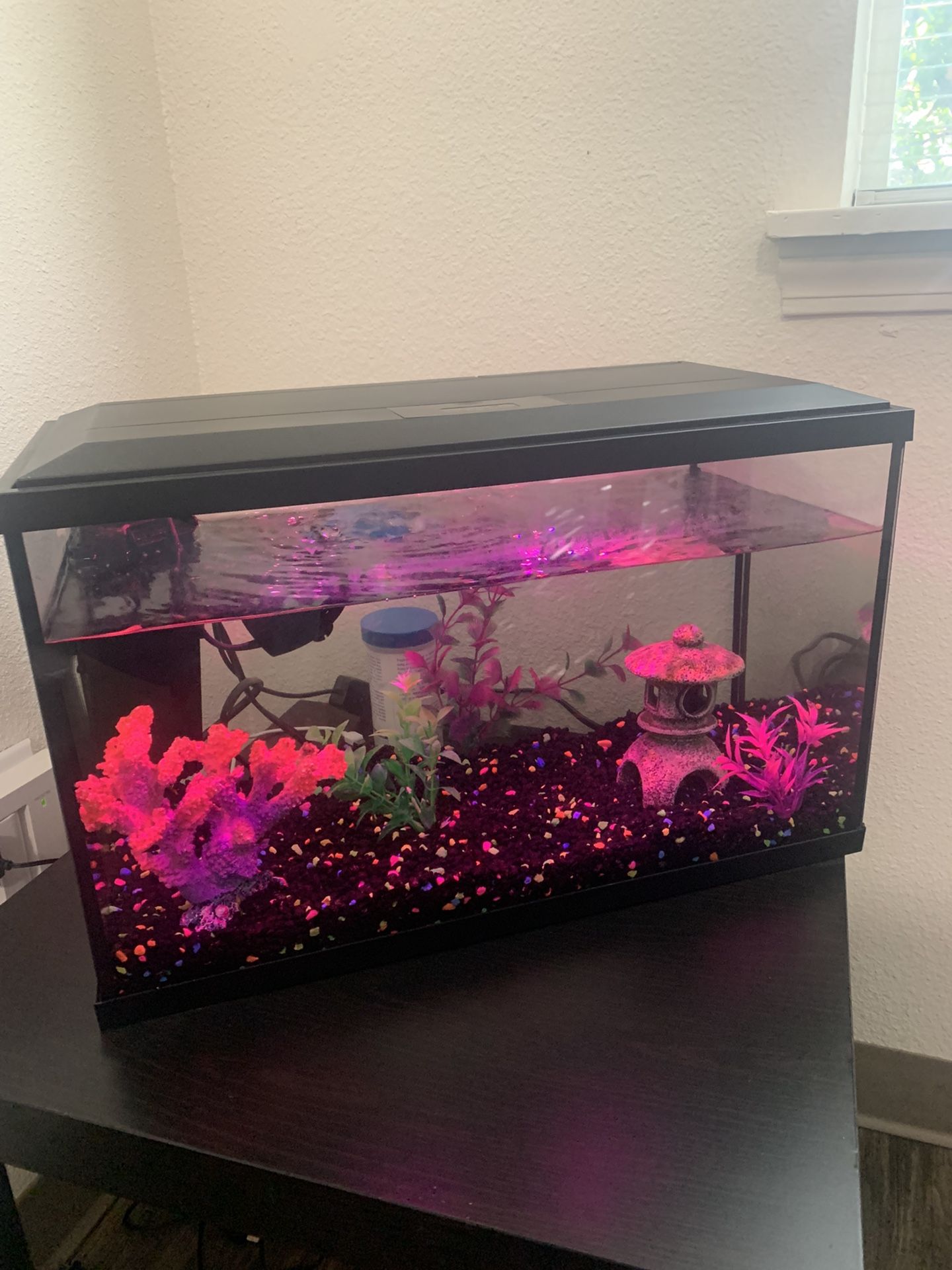 Fishtank 10 Gal 