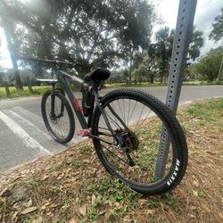 C100 Like 29inch Wheelie Mtb