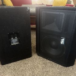 Seismic audio 12” Speakers main