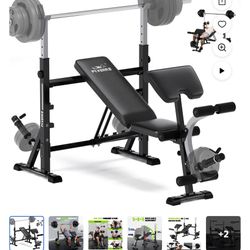 Flybird Standard Weight Bench with Preacher Curl, Leg Developer, Chest & Shoulder Rack