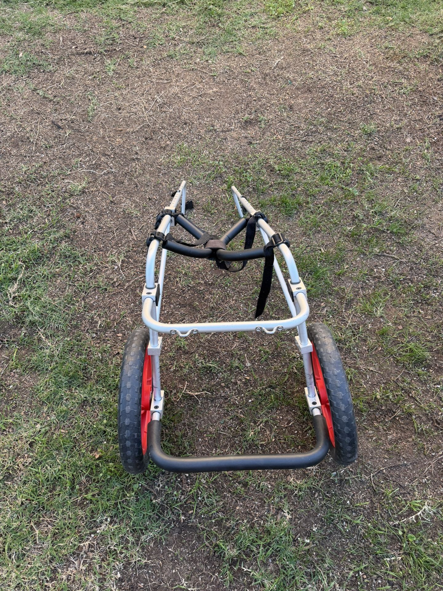 Wheels For Large Dogs Back Legs