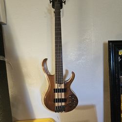 5 String Bass