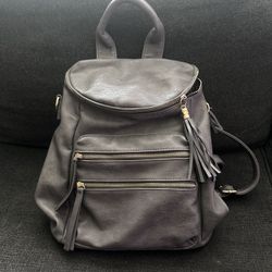 Back Pack Purse