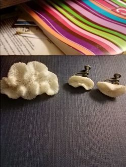 Vintage White Coral Brooch and Screw Earrings