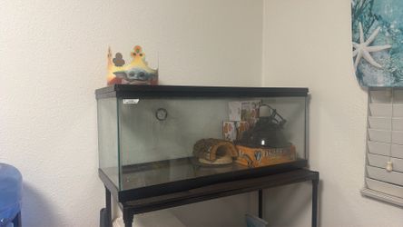 Lizard or turtle house