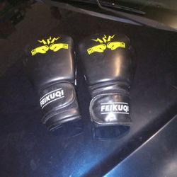 Feikuqi Boxing Glove