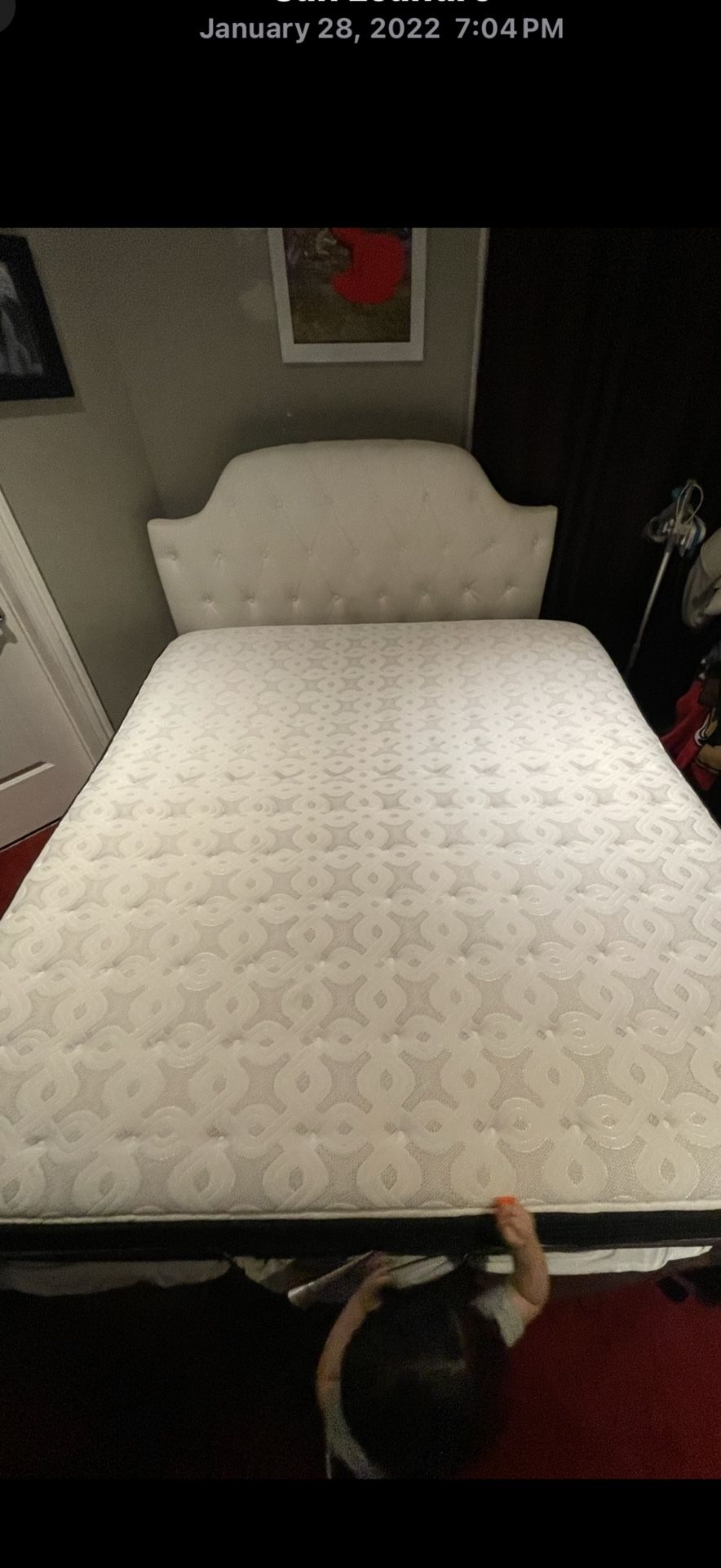 Ca King Mattress Temperpedic